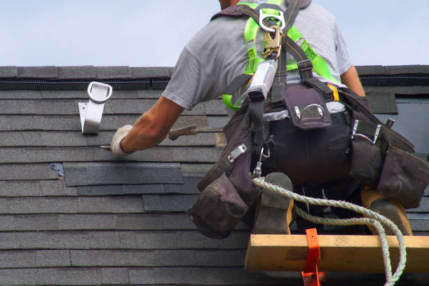 Affordable siding repair and maintenance services in Reese, MI