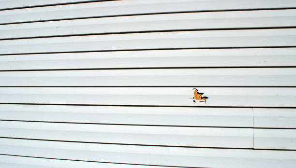 Best Siding for Multi-Family Homes  in Reese, MI